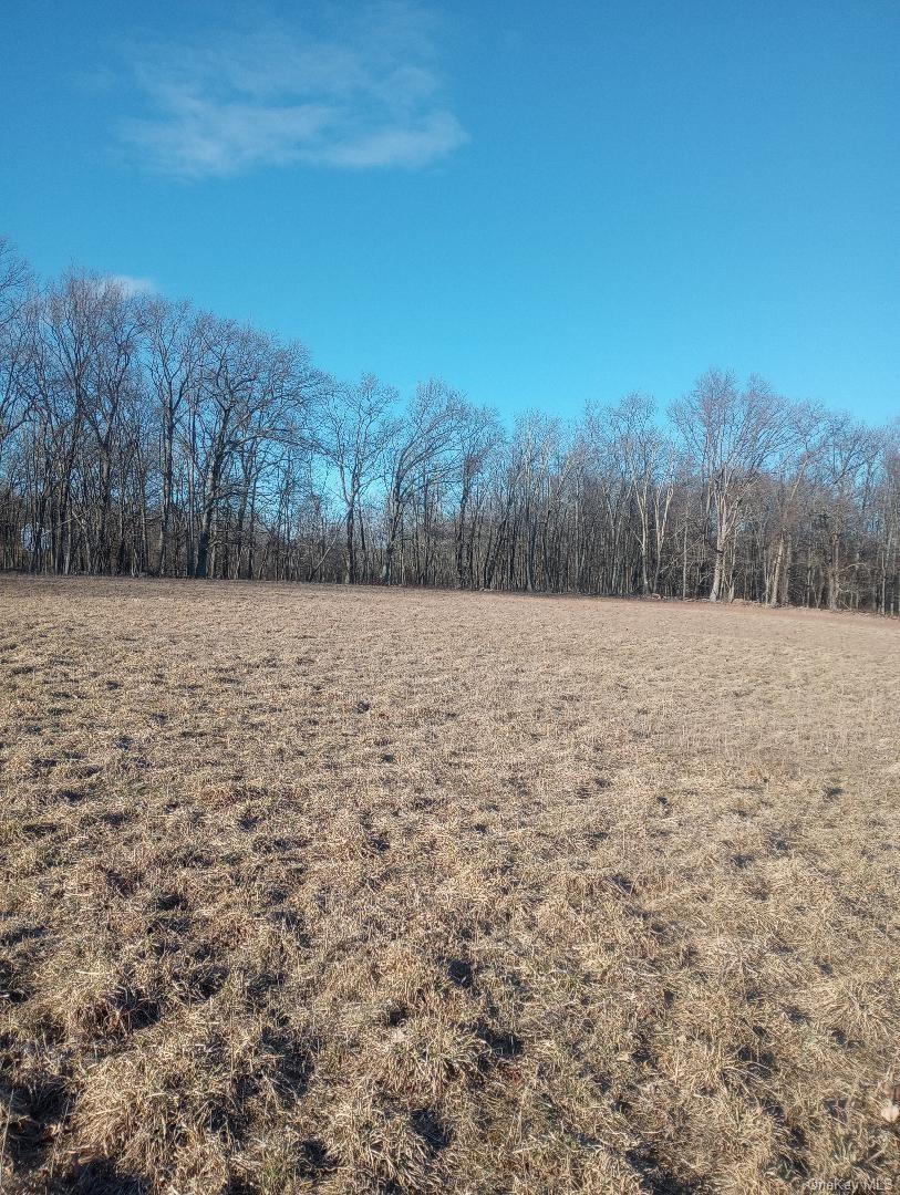 Myers RD. Westtown, NY 10 Myers Road – For Sale photo 4