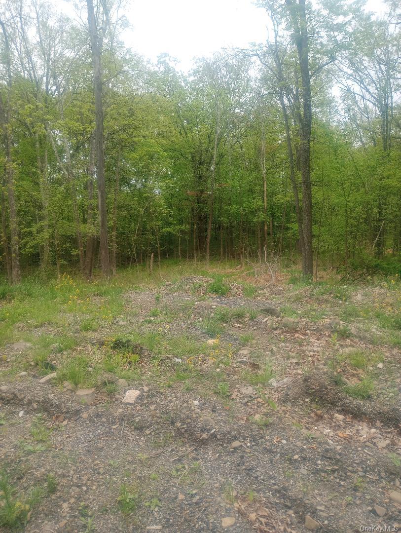 Myers RD. Westtown, NY 10 Myers Road – For Sale photo 3