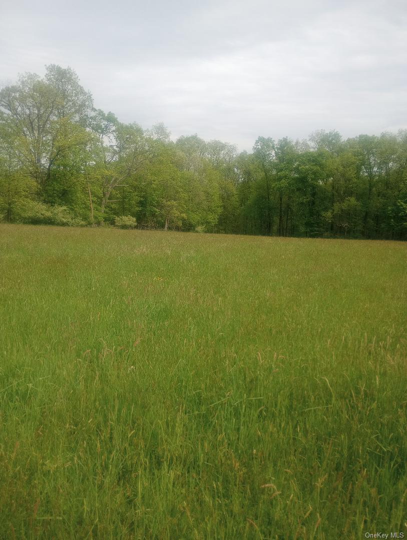 Myers RD. Westtown, NY 10 Myers Road – For Sale