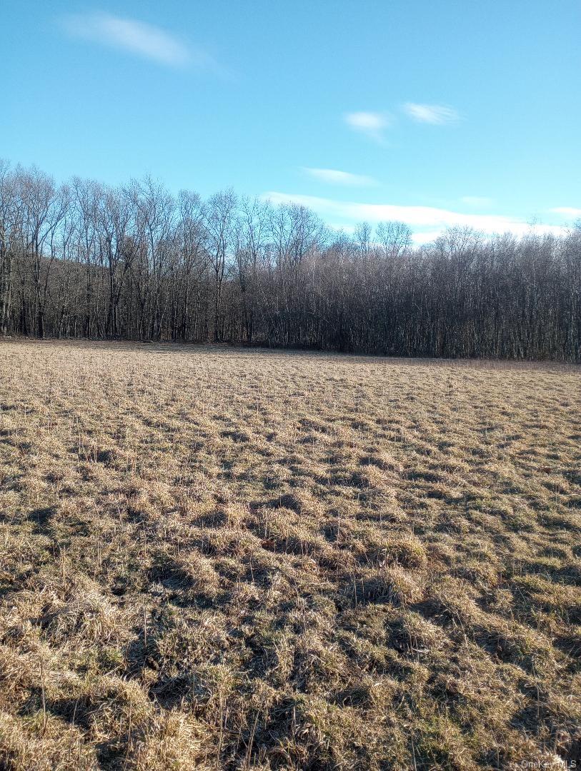 Myers RD. Westtown, NY 10 Myers Road – For Sale photo 5