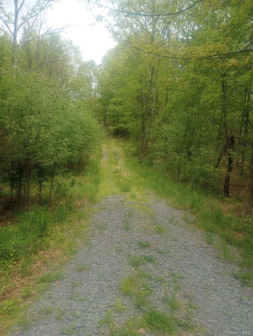 Myers RD. Westtown, NY 10 Myers Road – For Sale photo 2