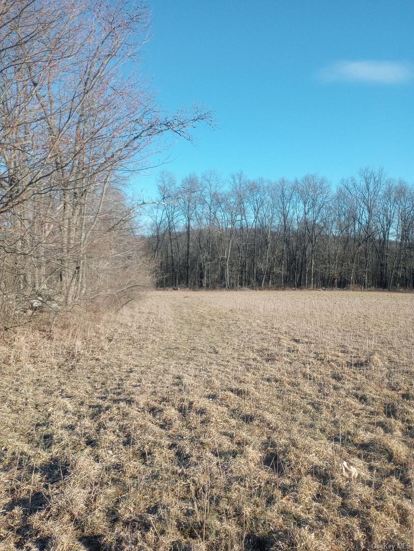 Myers RD. Westtown, NY 10 Myers Road – For Sale photo 7
