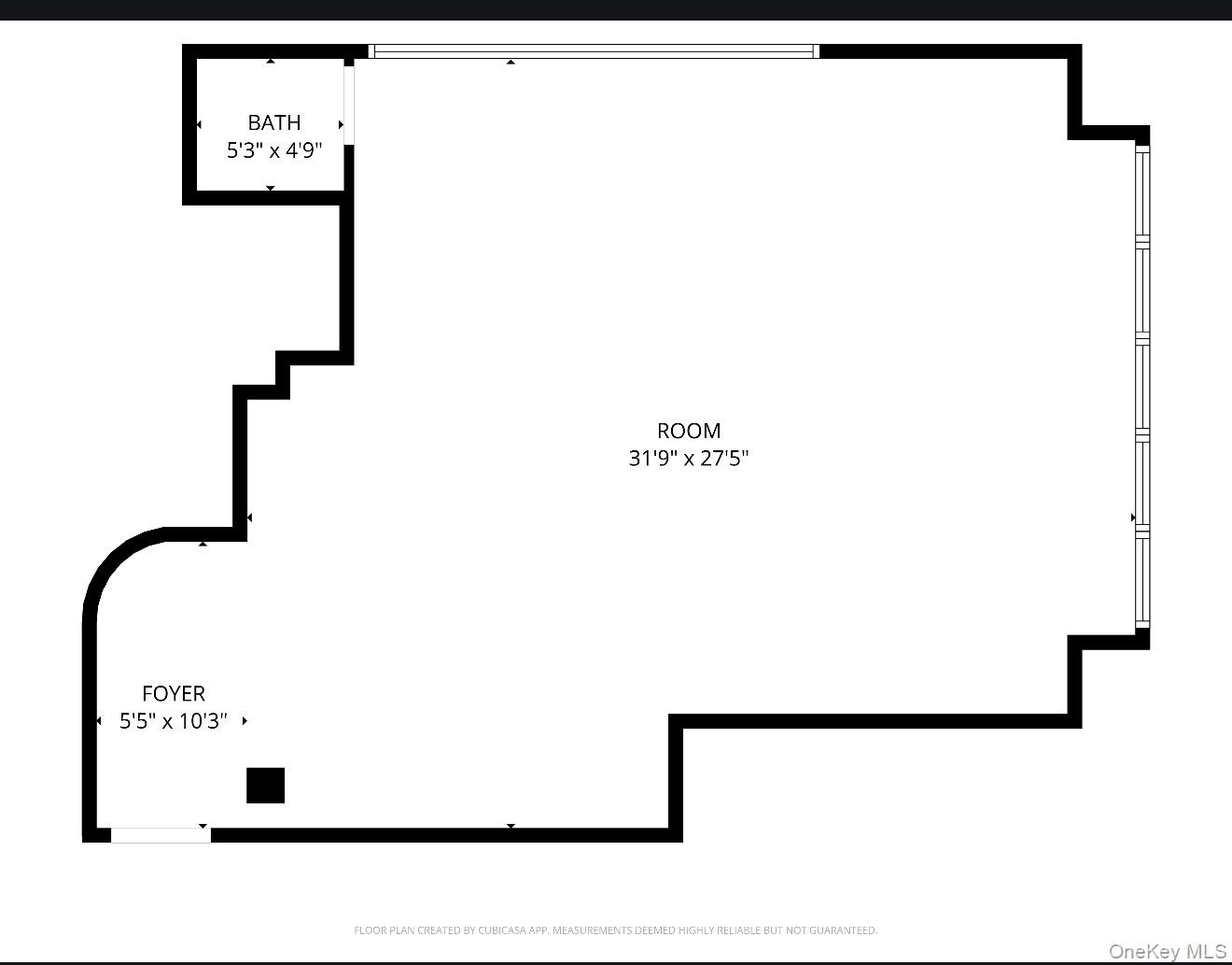 217 Merrick Road, Unit 101 photo 9