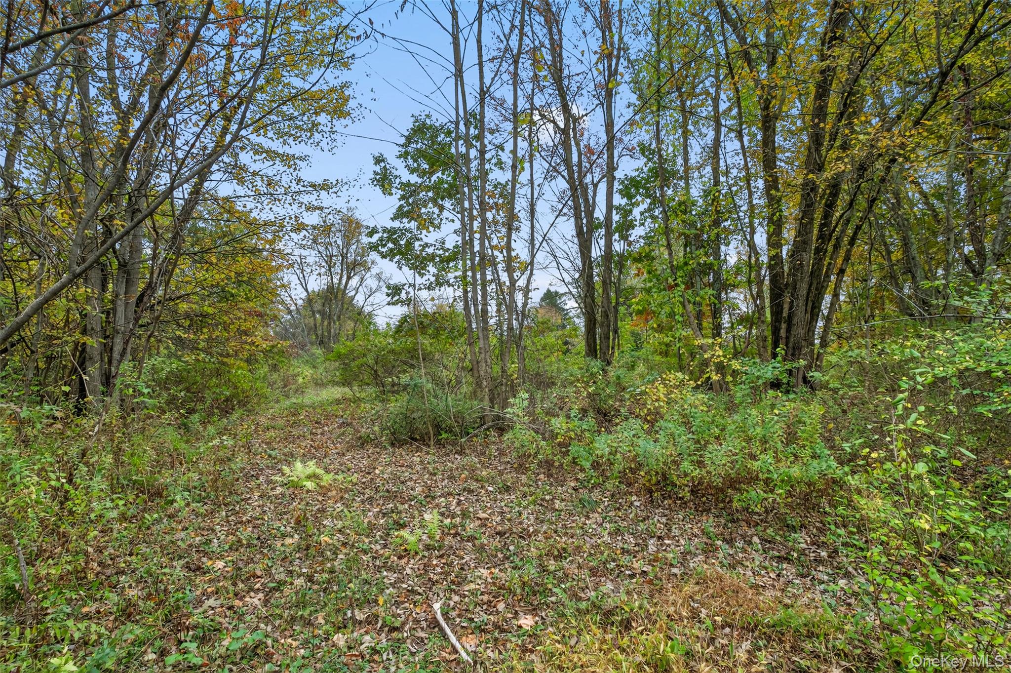 37 N Ohioville Road – For Sale photo 11