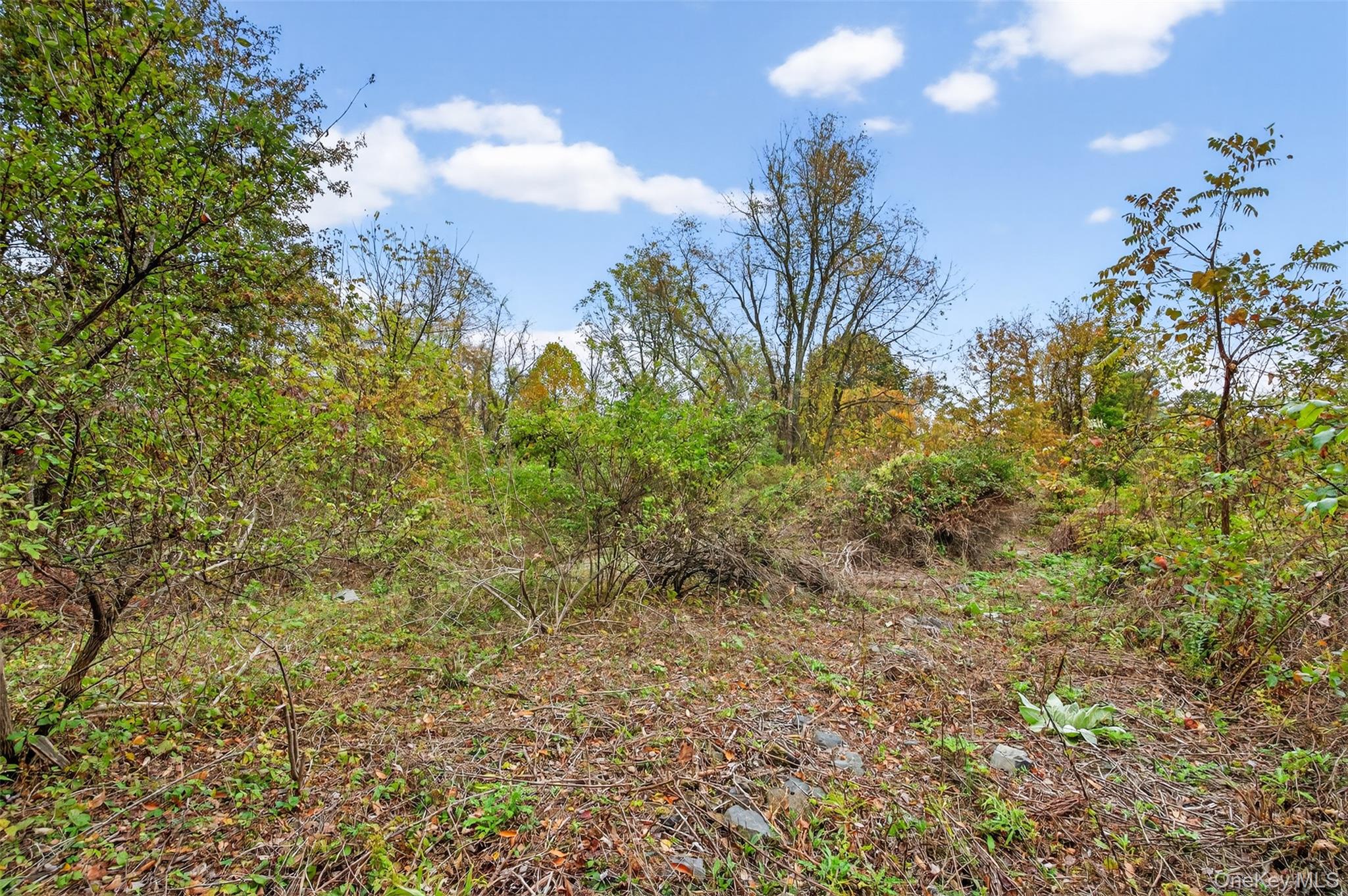 37 N Ohioville Road – For Sale photo 7