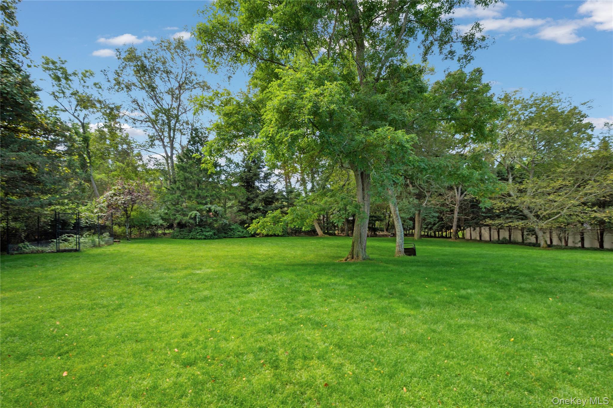 12 Fish Cove Road – For Sale photo 6
