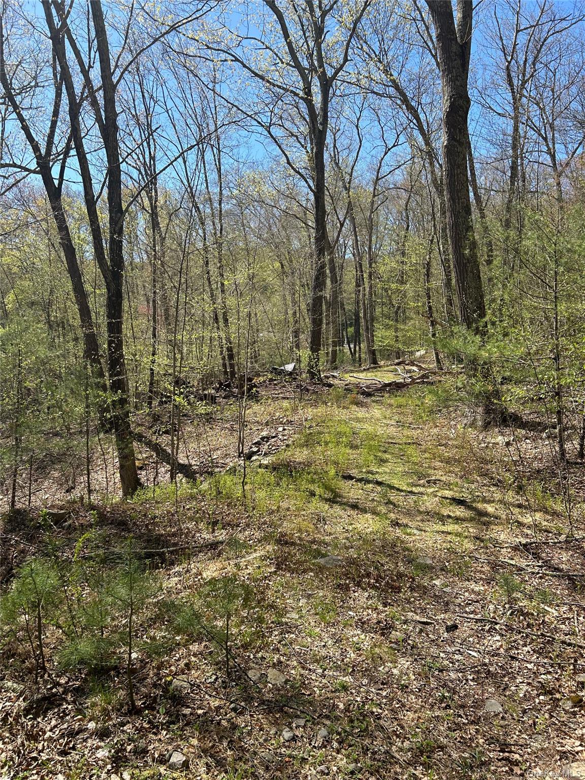 14 Hawk Mountain Drive – For Sale photo 22