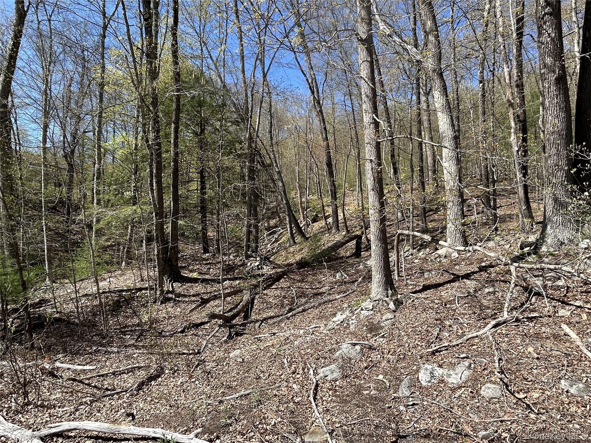 14 Hawk Mountain Drive – For Sale photo 11