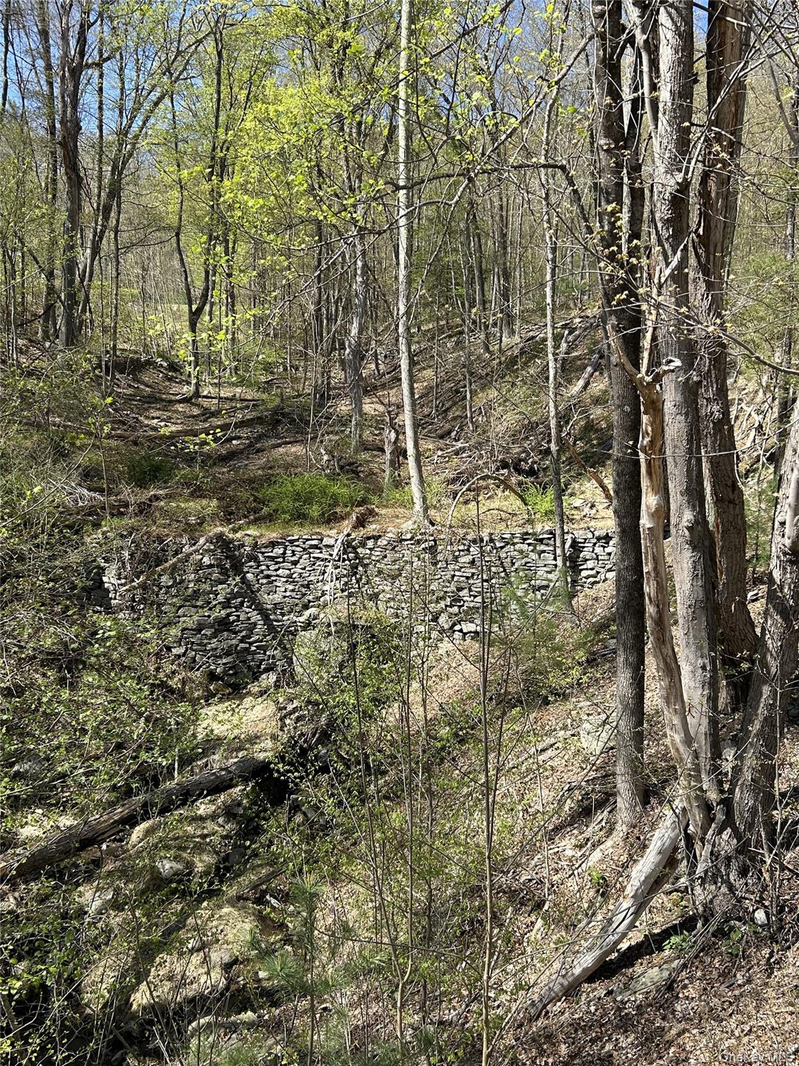 14 Hawk Mountain Drive – For Sale photo 14