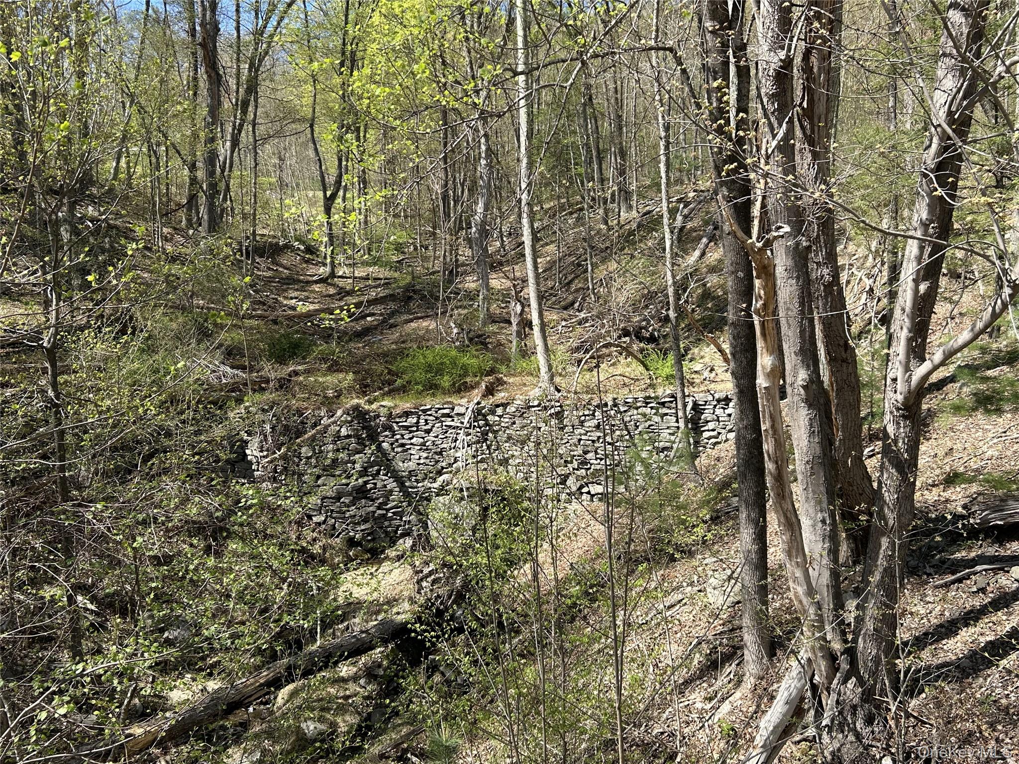 14 Hawk Mountain Drive – For Sale photo 13