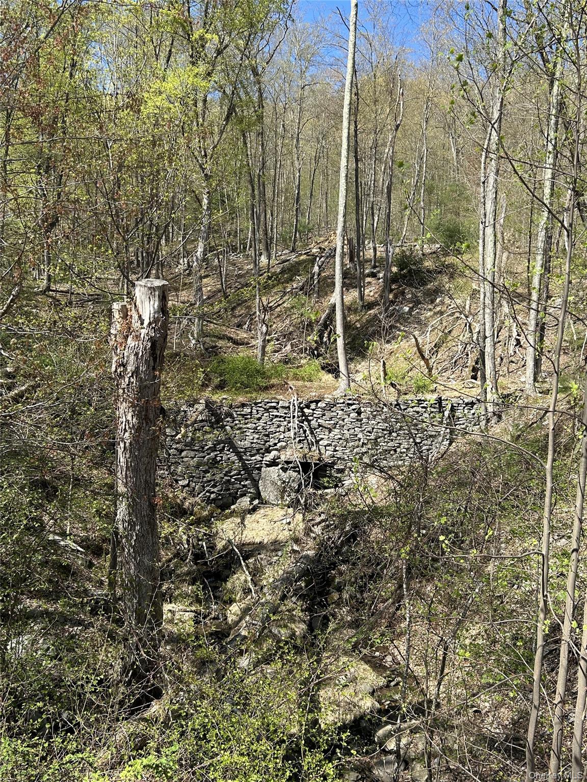 14 Hawk Mountain Drive – For Sale photo 15