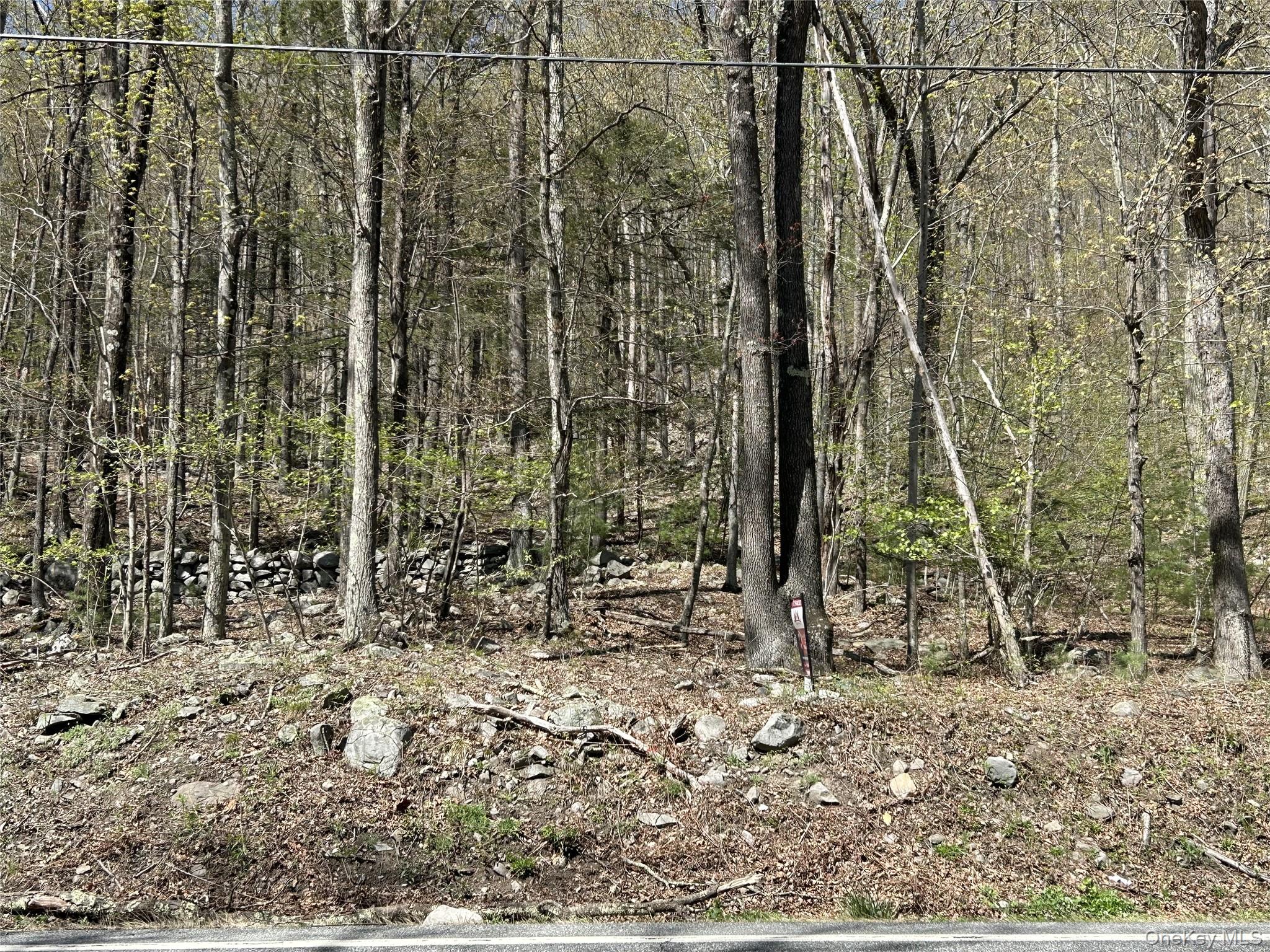 14 Hawk Mountain Drive – For Sale photo 3