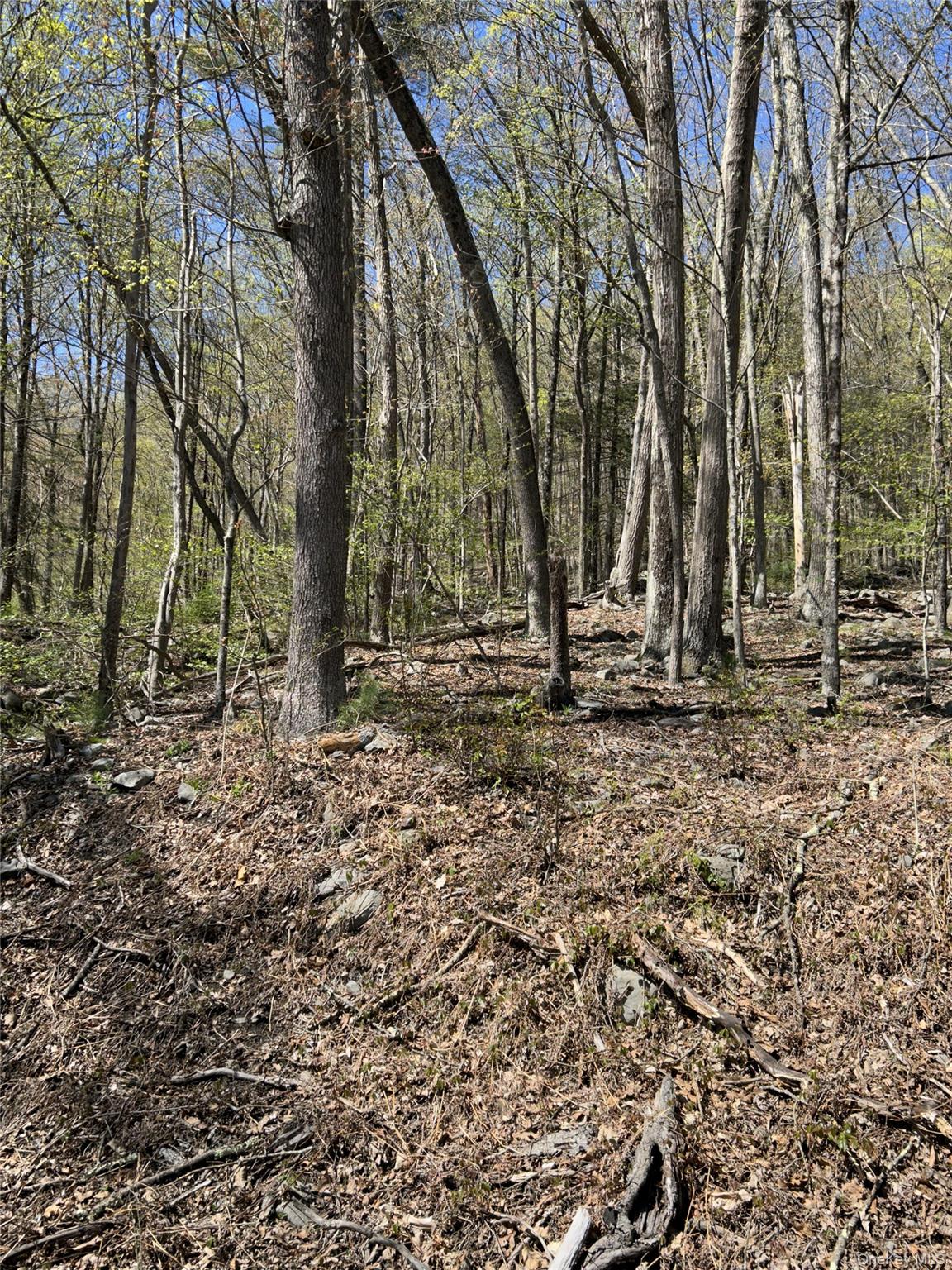 14 Hawk Mountain Drive – For Sale photo 6