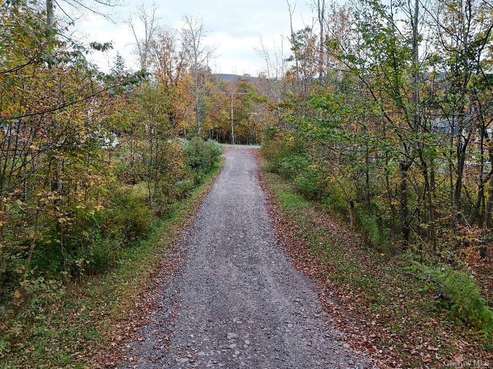 TBD Kornell Drive – For Sale photo 6