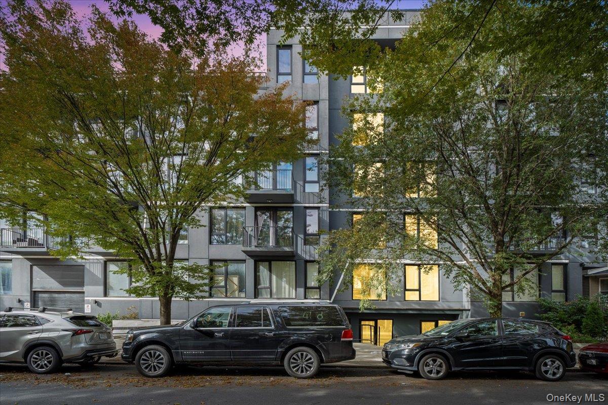 458 E 25th St, Unit 305