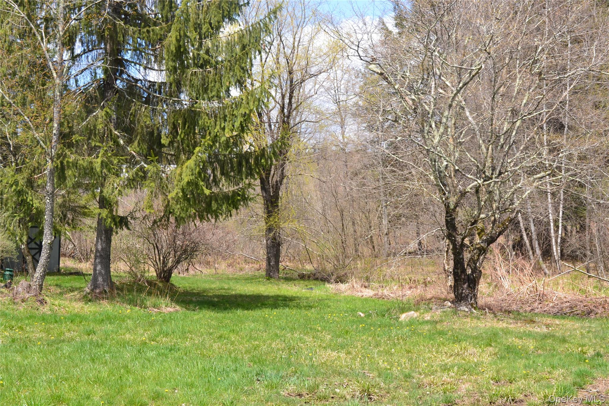 144 Bonnie Brook Road – For Sale photo 25