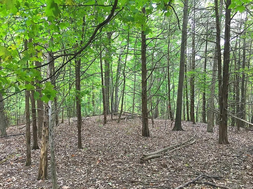 410 County Rt. 25 – For Sale photo 12