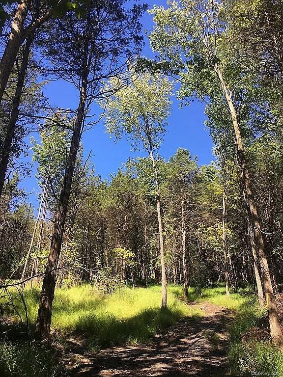 410 County Rt. 25 – For Sale photo 11