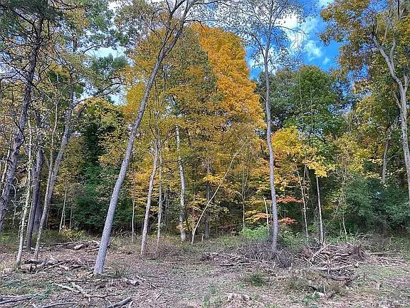 410 County Rt. 25 – For Sale photo 3