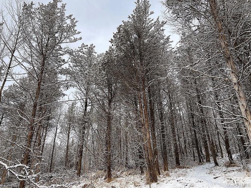 410 County Rt. 25 – For Sale photo 14