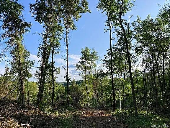 410 County Rt. 25 – For Sale photo 17