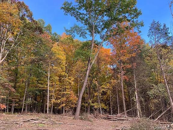 410 County Rt. 25 – For Sale photo 6