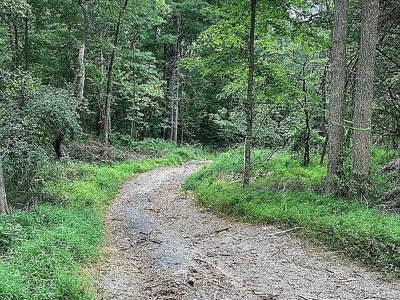 410 County Rt. 25 – For Sale photo 13