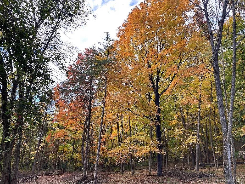 410 County Rt. 25 – For Sale