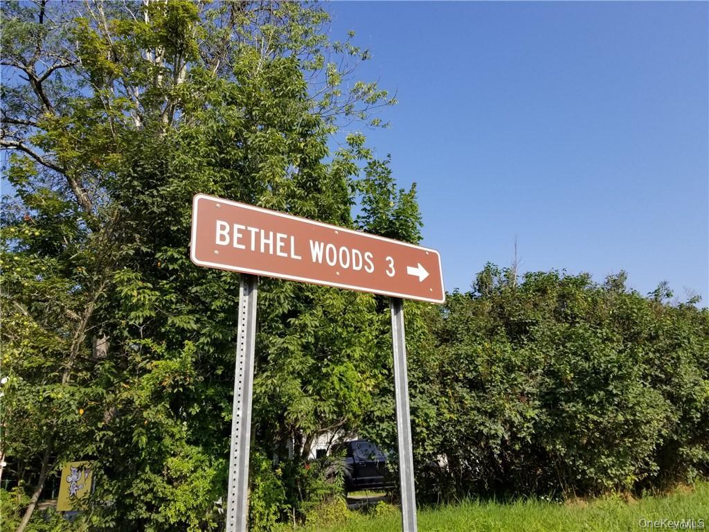 Lot 18 Horseshoe Lake Road and State Route 55 – For Sale photo 22