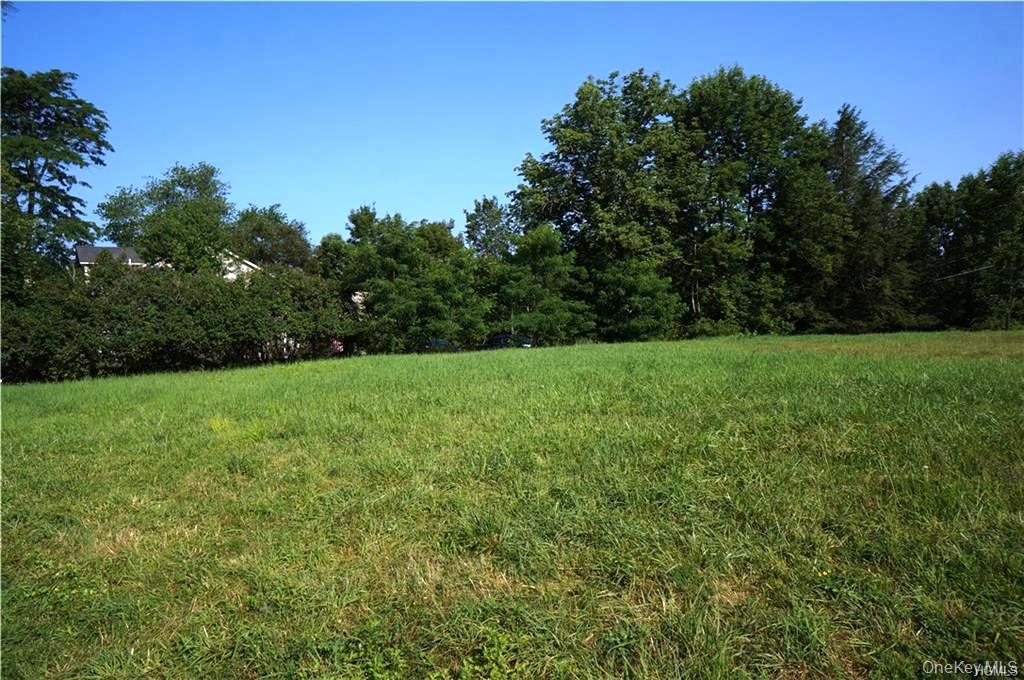 Lot 18 Horseshoe Lake Road and State Route 55 – For Sale photo 21