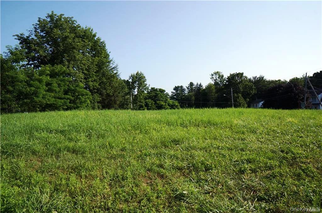 Lot 18 Horseshoe Lake Road and State Route 55 – For Sale photo 19
