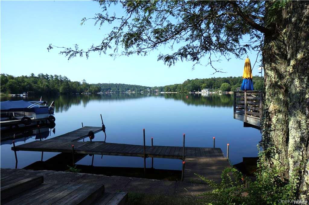 Lot 18 Horseshoe Lake Road and State Route 55 – For Sale photo 3