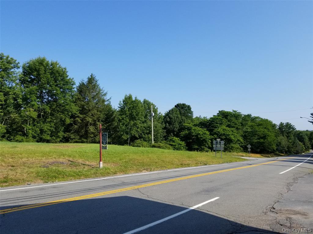Lot 18 Horseshoe Lake Road and State Route 55 – For Sale photo 8