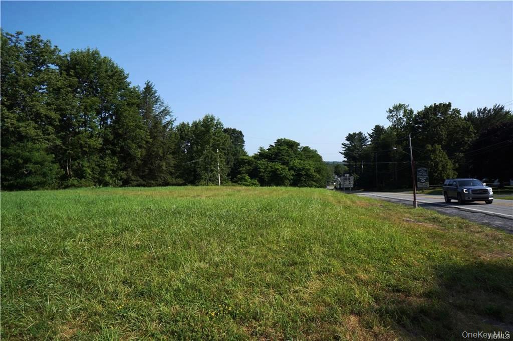 Lot 18 Horseshoe Lake Road and State Route 55 – For Sale photo 20