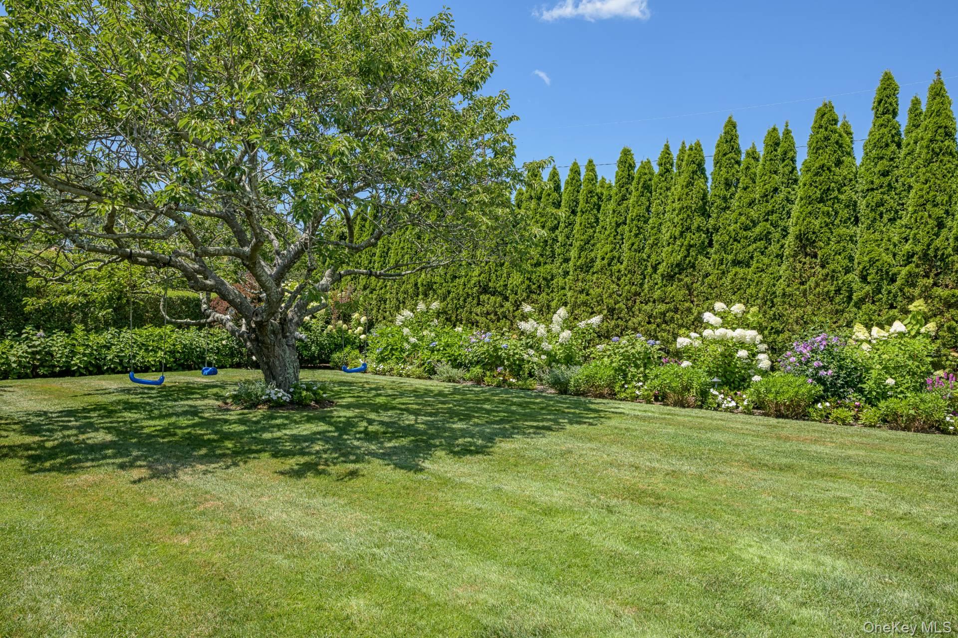 36 Wiltshire Street – For Rent photo 24