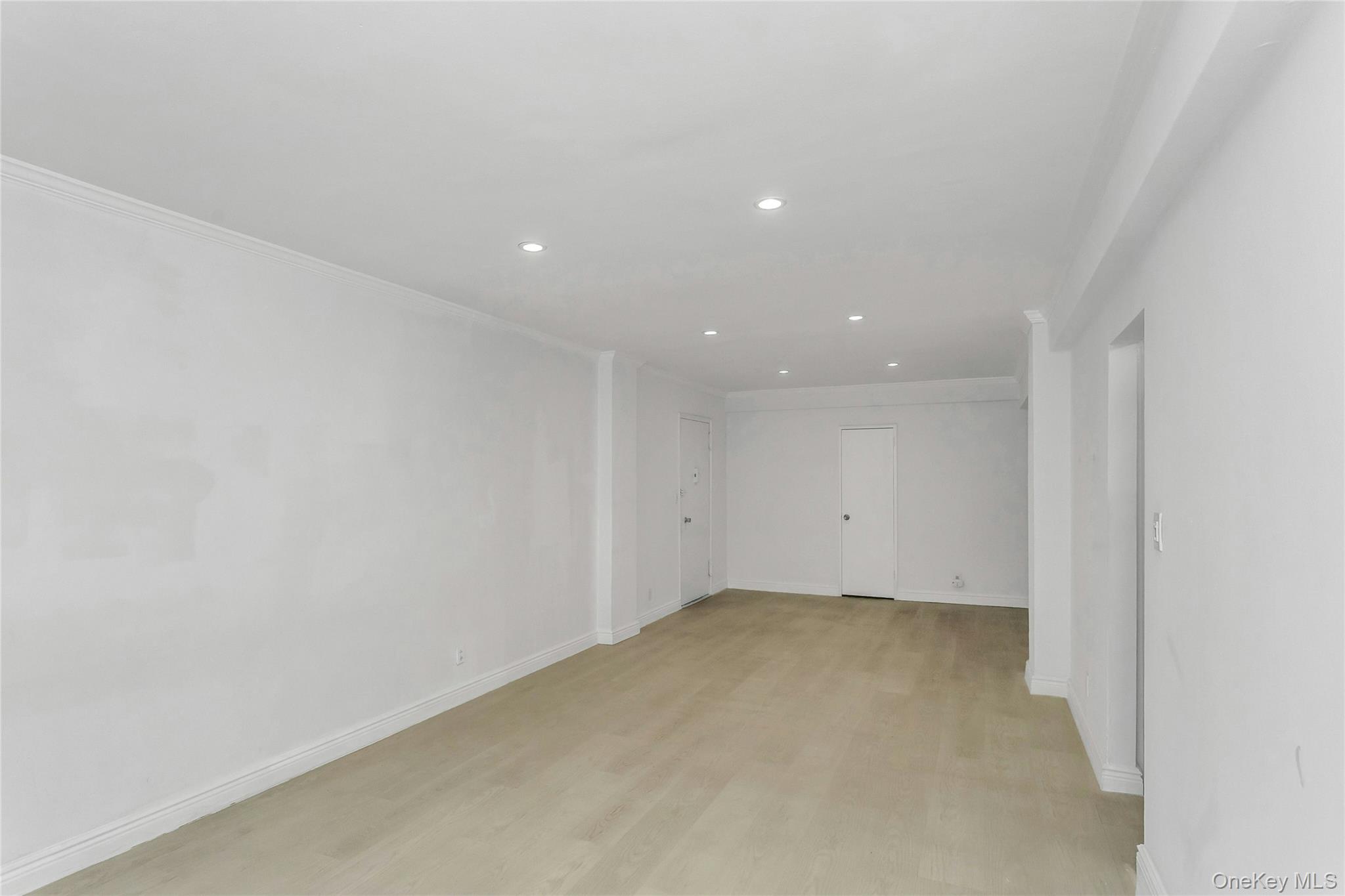15 Hill Park Ave Avenue, Unit 1C photo 8