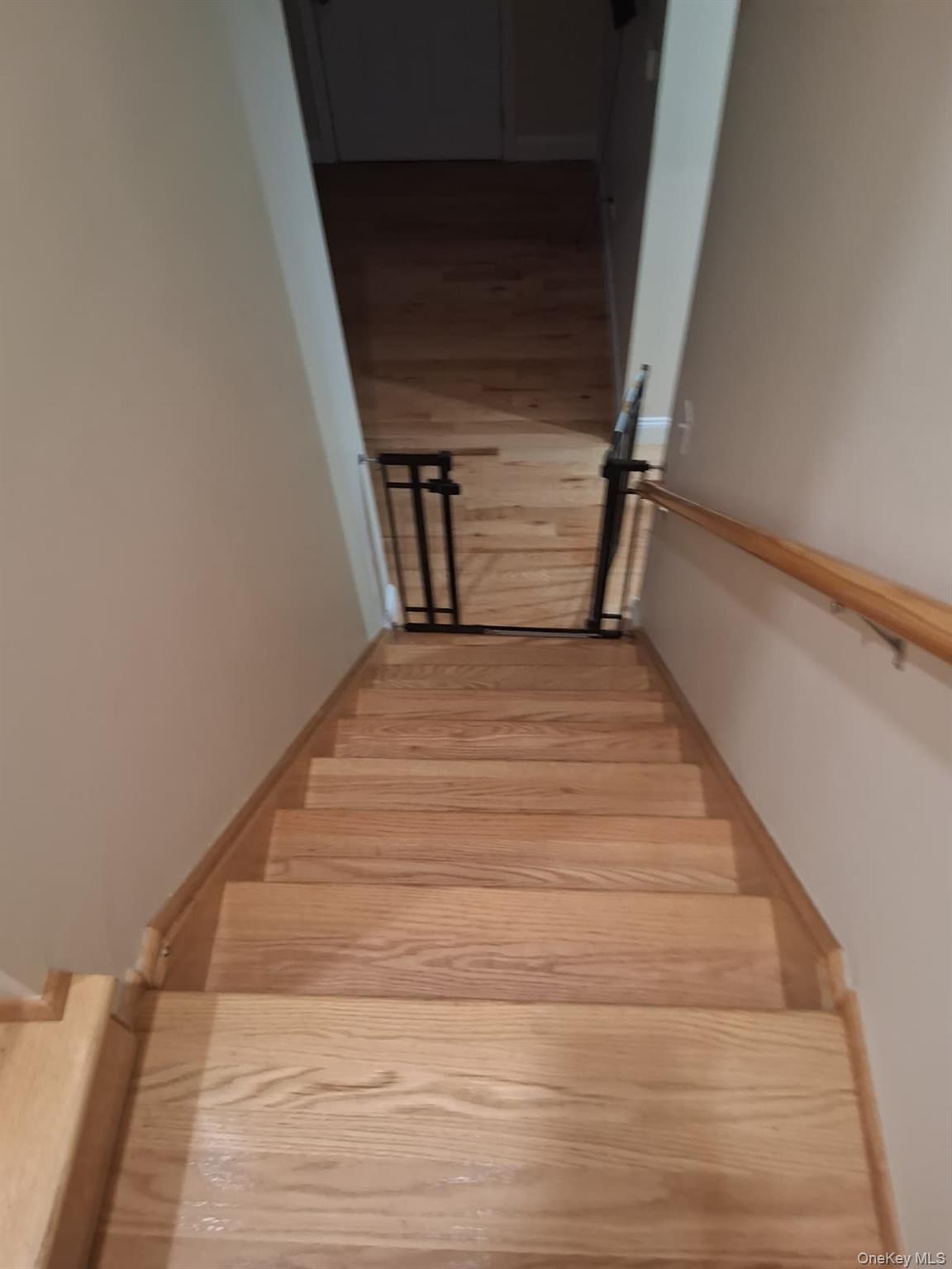 601 E 226th Street, Unit 2 photo 24