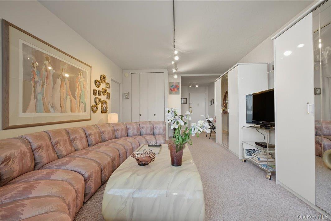 27010 Grand Central Parkway, Unit 21M photo 6