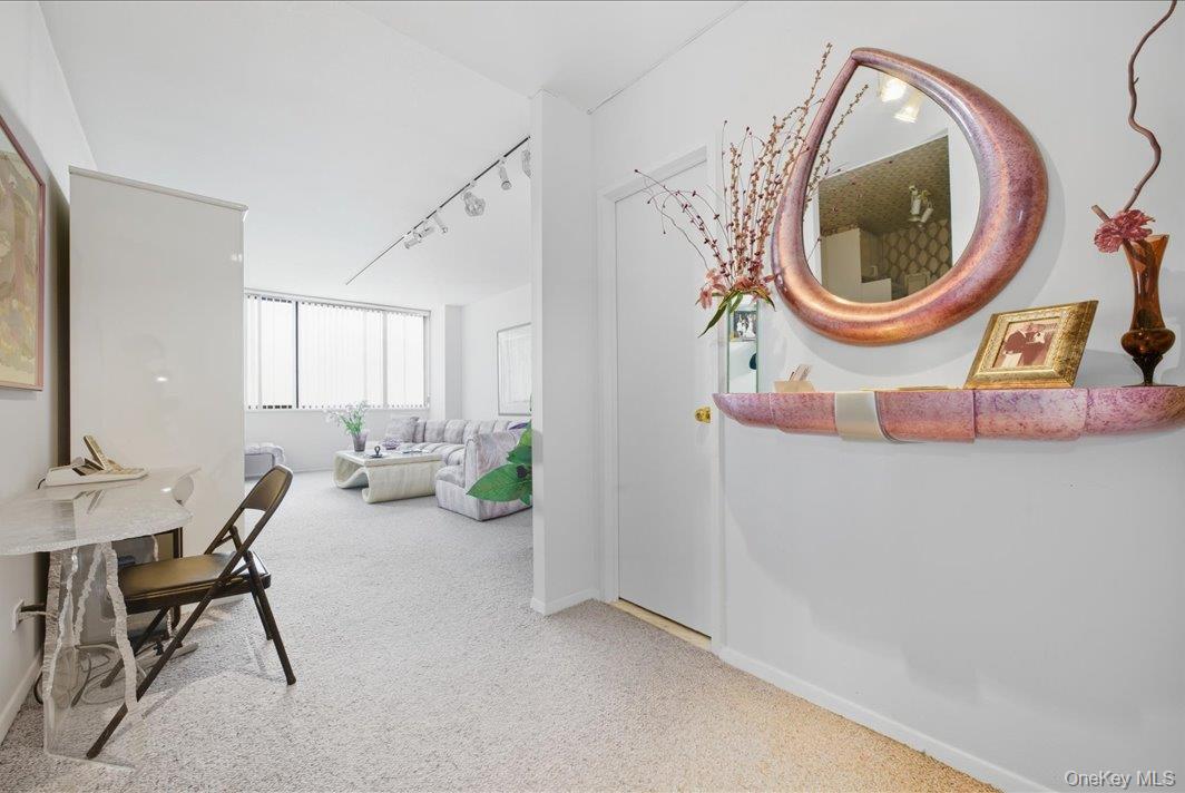 27010 Grand Central Parkway, Unit 21M photo 2