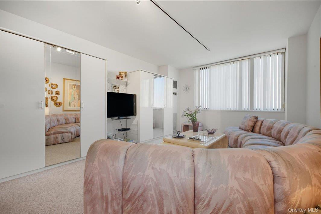 27010 Grand Central Parkway, Unit 21M photo 5