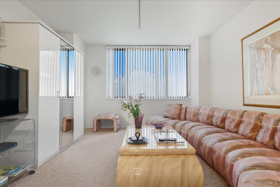 27010 Grand Central Parkway, Unit 21M photo 4