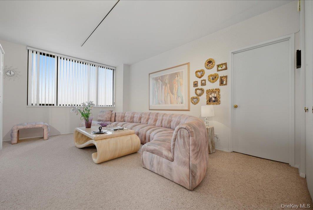 27010 Grand Central Parkway, Unit 21M photo 3