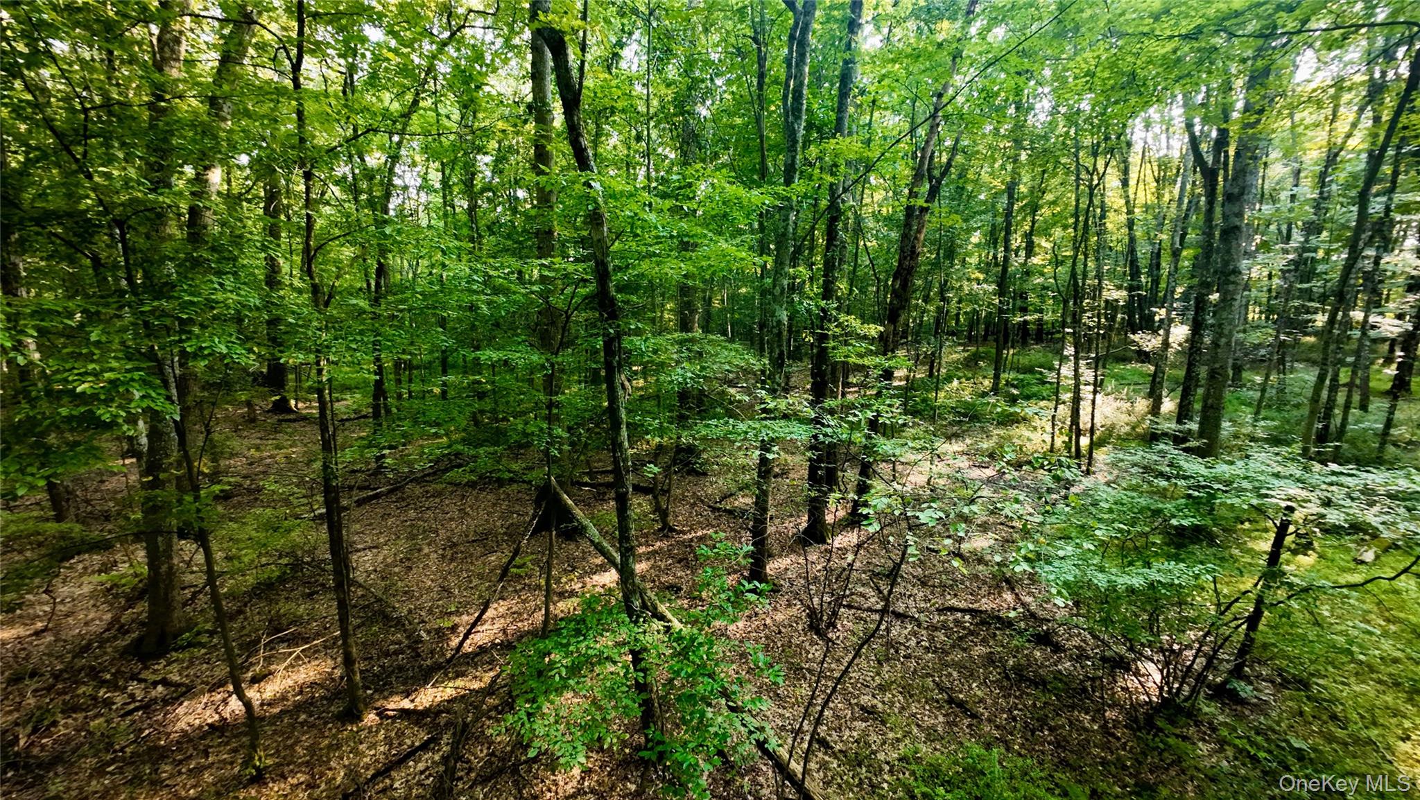 109 White Birch Lane – For Sale photo 6