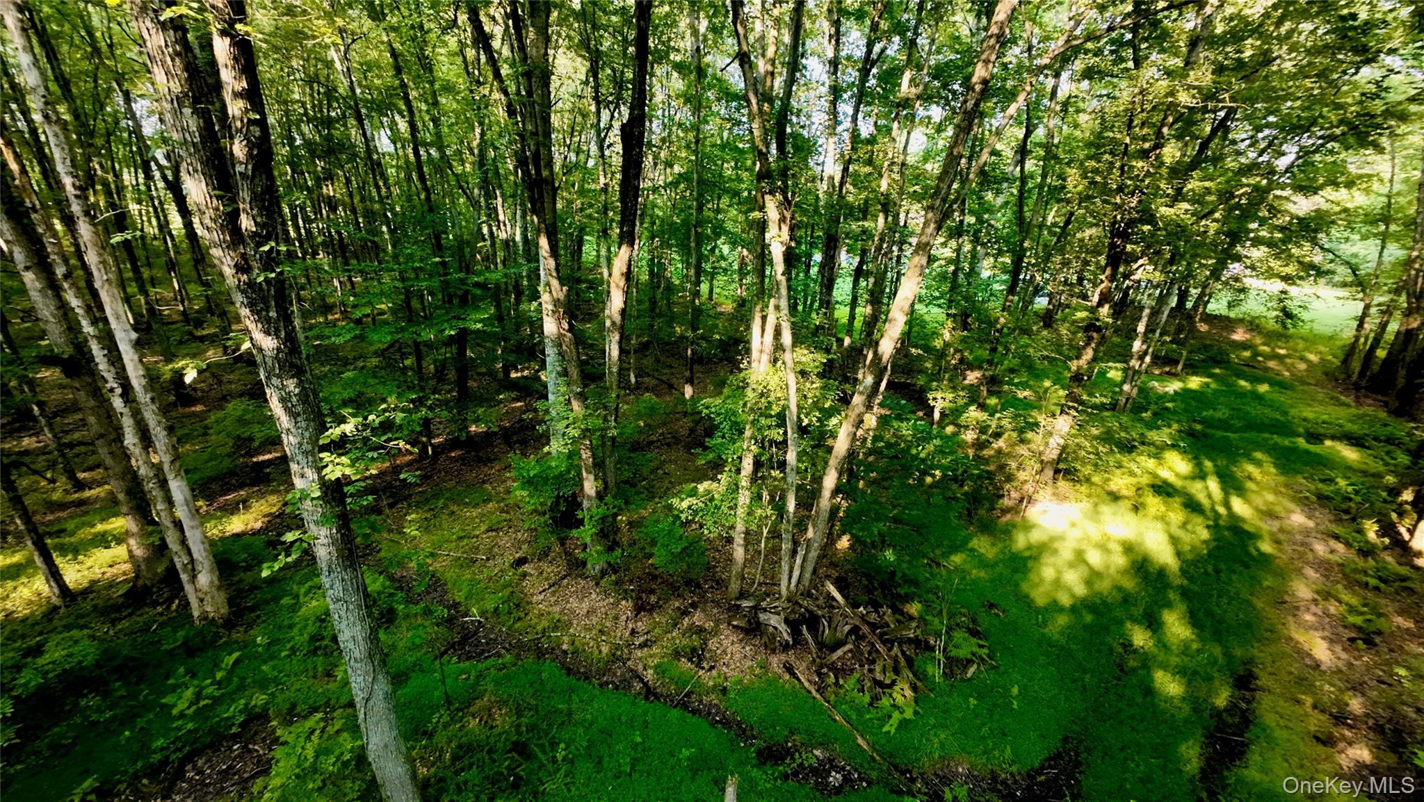 109 White Birch Lane – For Sale photo 8