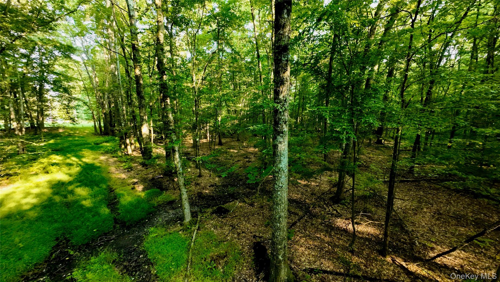 109 White Birch Lane – For Sale photo 7