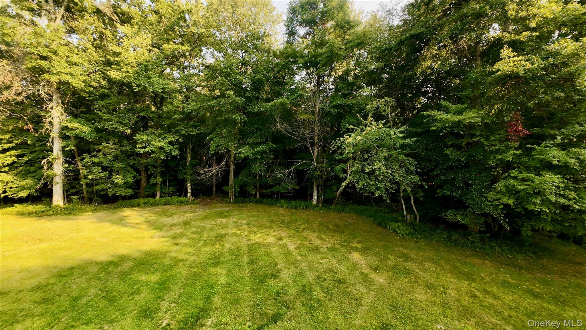 109 White Birch Lane – For Sale photo 2