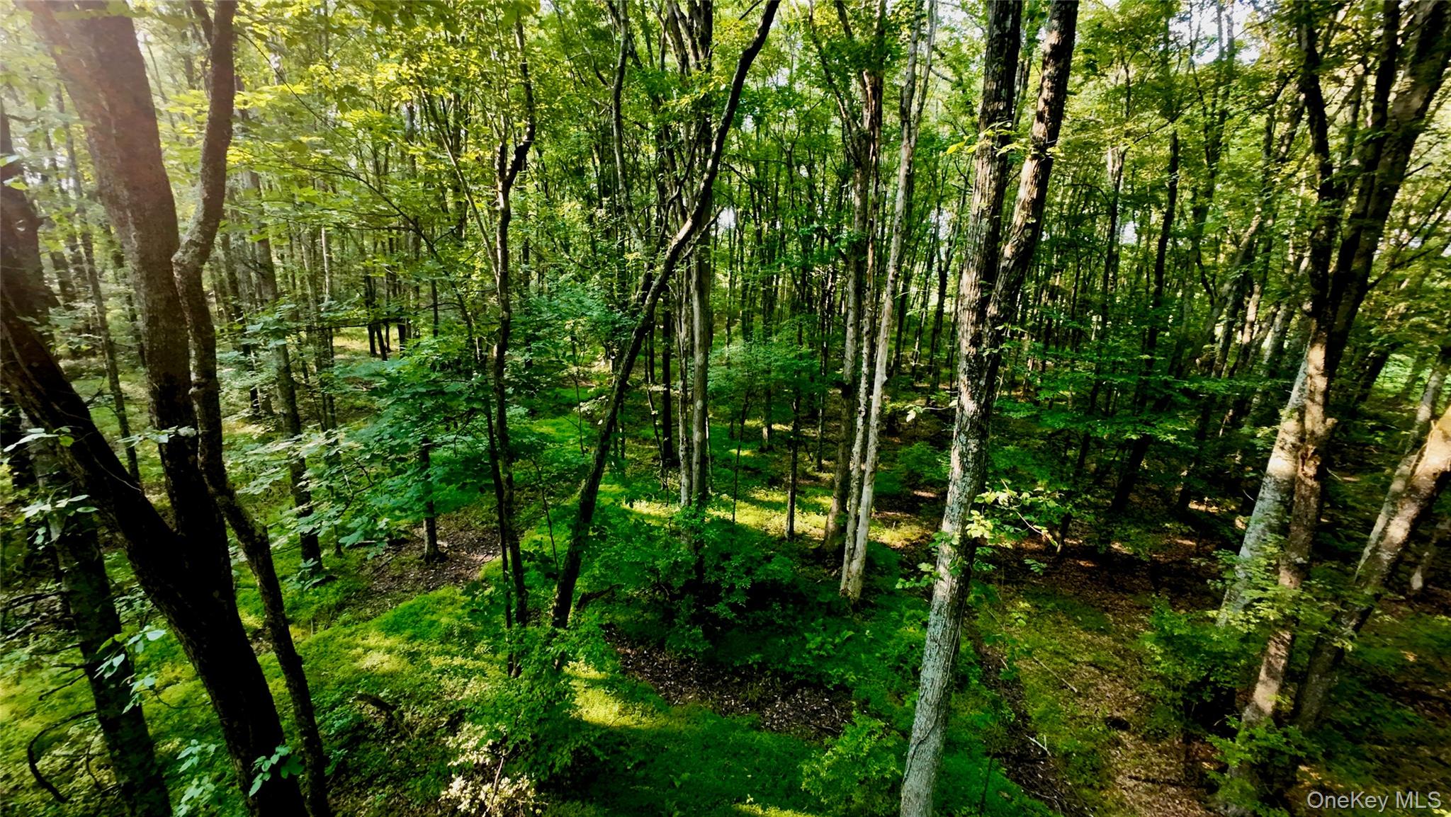 109 White Birch Lane – For Sale photo 9