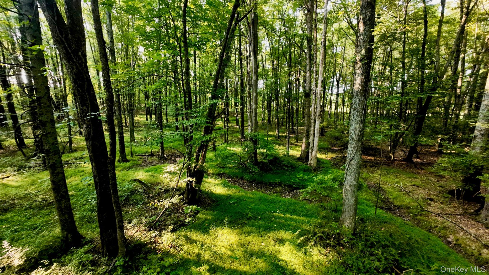 109 White Birch Lane – For Sale photo 4