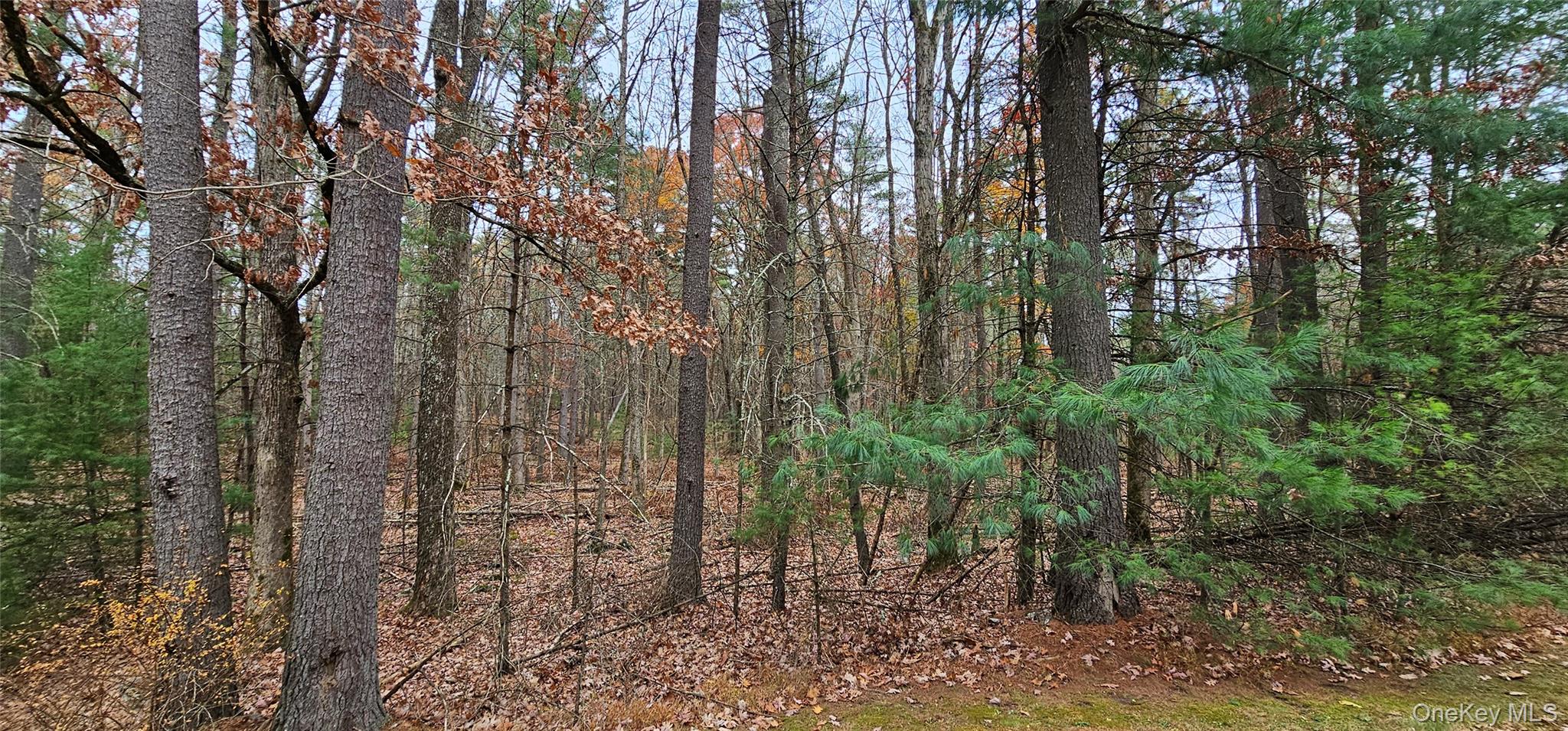 Lot 28 Summit Drive – For Sale photo 3