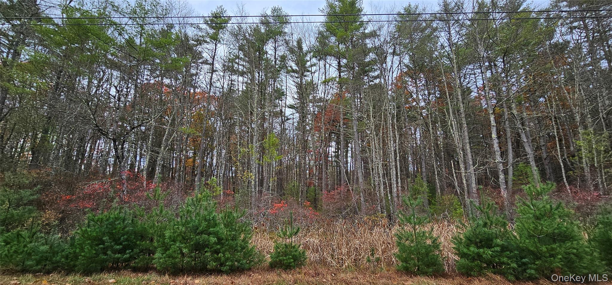 Lot 28 Summit Drive – For Sale photo 8